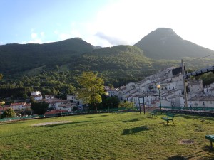IMG_4983